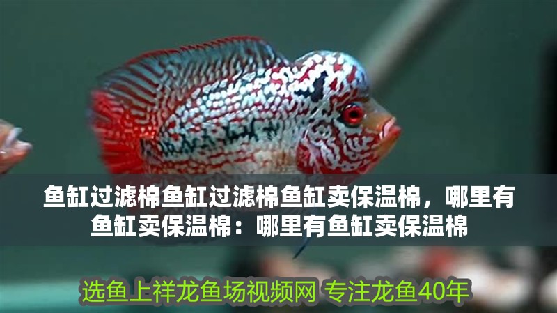 魚缸過濾棉魚缸過濾棉魚缸賣保溫棉，哪里有魚缸賣保溫棉：哪里有魚缸賣保溫棉