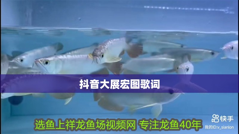抖音大展宏圖歌詞
