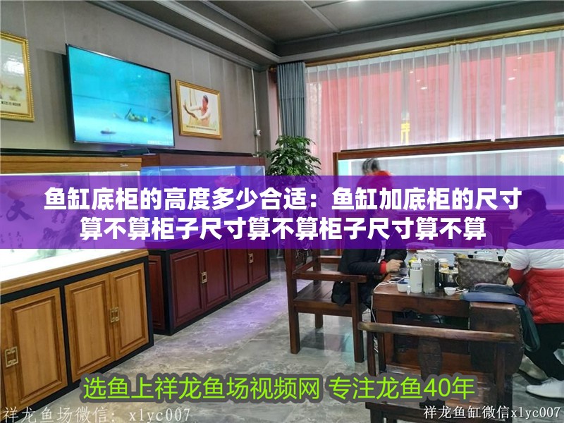 魚(yú)缸底柜的高度多少合適：魚(yú)缸加底柜的尺寸算不算柜子尺寸算不算柜子尺寸算不算