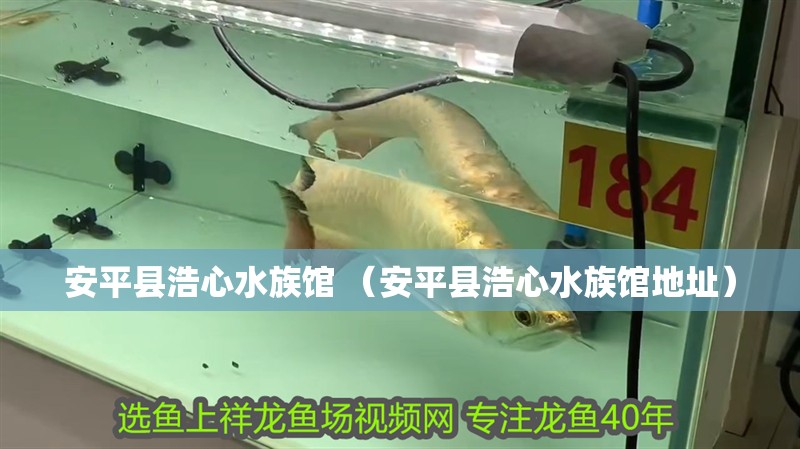 安平縣浩心水族館 （安平縣浩心水族館地址）