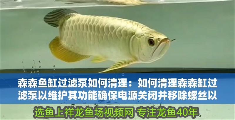 森森魚缸過濾泵如何清理：如何清理森森缸過濾泵以維護其功能確保電源關閉并移除螺絲以取出泵主體