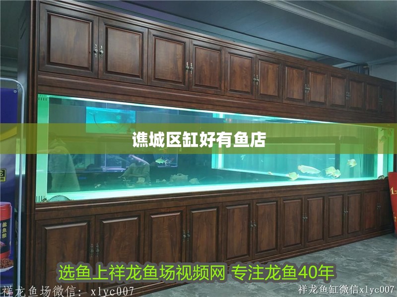 譙城區缸好有魚店