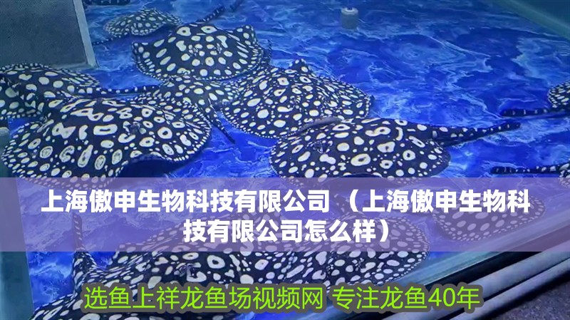 我的虎魚真菌感染了要怎么處理 上海傲申生物科技有限公司 (上海傲申生物科技有限公司怎么樣) 全國水族館企業名錄 上海傲申生物科技有限公司 (上海傲申生物科技有限公司怎么樣) 上海傲申生物科技有限公司 (上海傲申生物科技有限公司怎么樣) 全國水族館企業名錄
