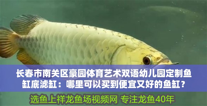 長春市南關區(qū)豪園體育藝術雙語幼兒園定制魚缸底濾缸：哪里可以買到便宜又好的魚缸？ 長春市南關區(qū)豪園體育藝術雙語幼兒園定制魚缸底濾缸：哪里可以買到便宜又好的魚缸？ 魚缸百科