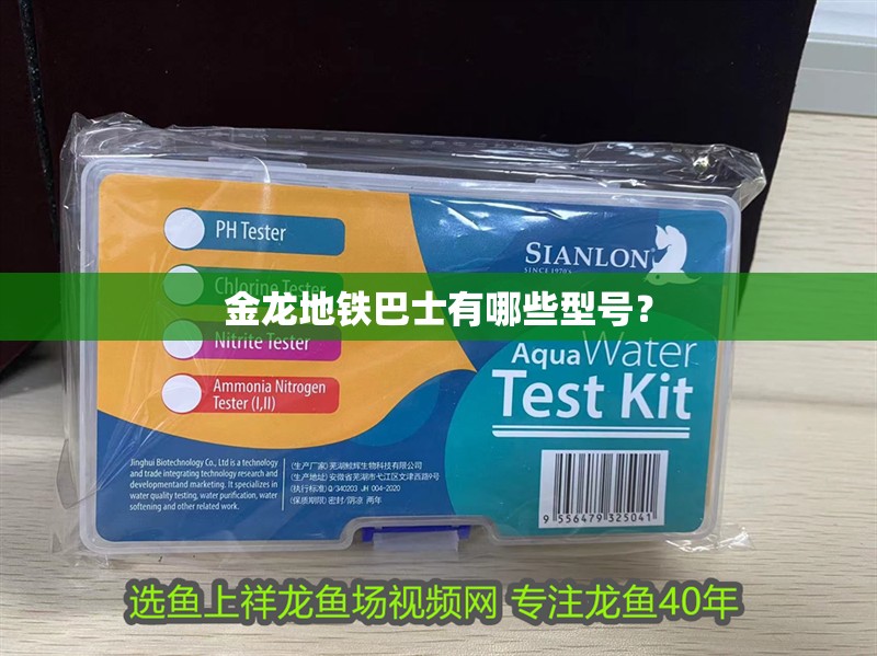 金龍地鐵巴士有哪些型號？