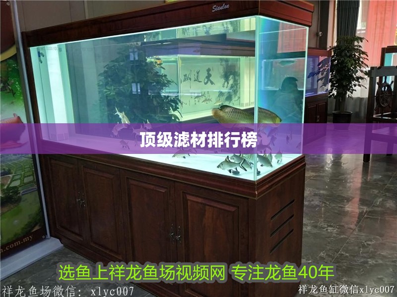 頂級濾材排行榜