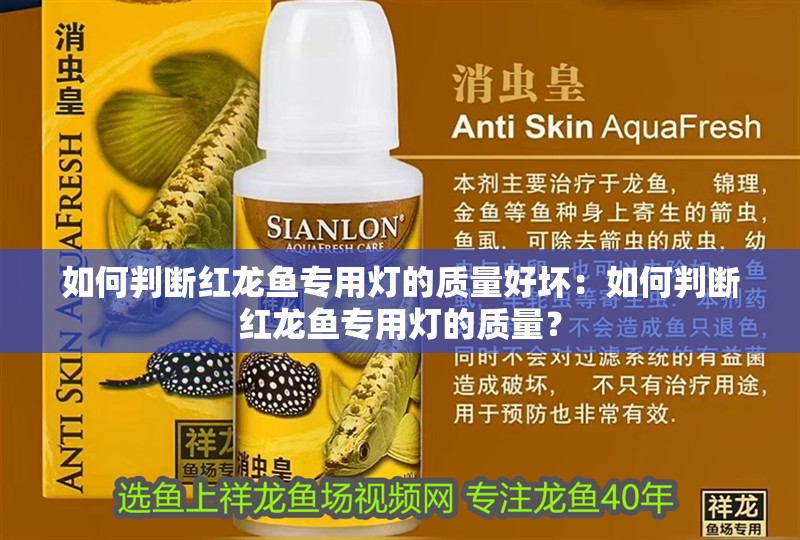 如何判斷紅龍魚專用燈的質量好壞：如何判斷紅龍魚專用燈的質量？