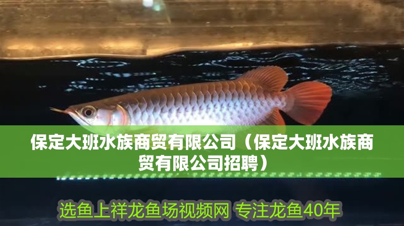 虎魚天天黑來點赤瞳黃金 保定大班水族商貿有限公司(保定大班水族商貿有限公司招聘) 全國水族館企業名錄 保定大班水族商貿有限公司(保定大班水族商貿有限公司招聘) 保定大班水族商貿有限公司(保定大班水族商貿有限公司招聘) 全國水族館企業名錄
