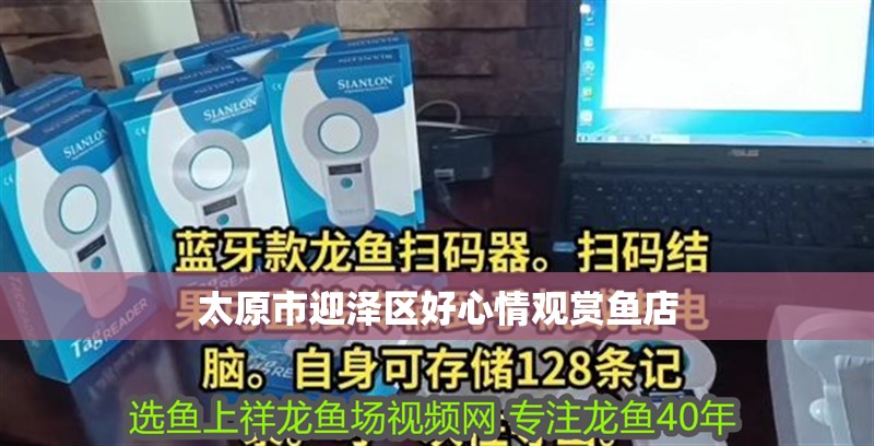 太原市迎澤區(qū)好心情觀賞魚店