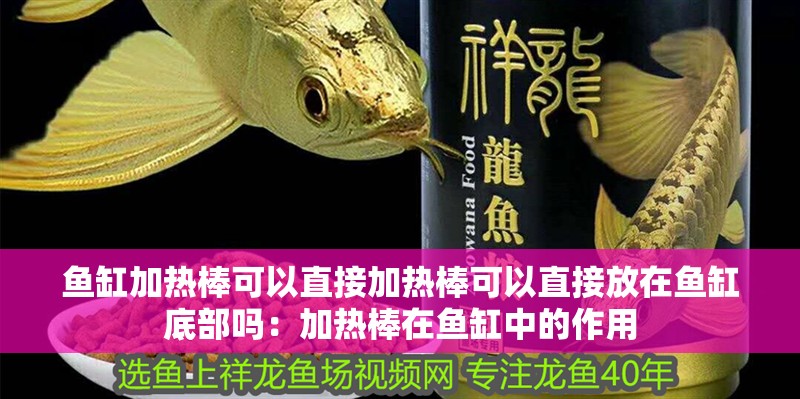 龍魚干蝦有營養嗎 魚缸加熱棒可以直接加熱棒可以直接放在魚缸底部嗎:加熱棒在魚缸中的作用 魚缸百科 魚缸加熱棒可以直接加熱棒可以直接放在魚缸底部嗎:加熱棒在魚缸中的作用 魚缸加熱棒可以直接加熱棒可以直接放在魚缸底部嗎:加熱棒在魚缸中的作用 魚缸百科