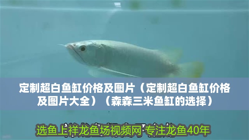 定制超白魚缸價格及圖片（定制超白魚缸價格及圖片大全）（森森三米魚缸的選擇）