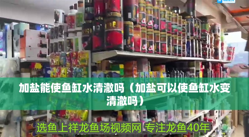 加鹽能使魚缸水清澈嗎（加鹽可以使魚缸水變清澈嗎）