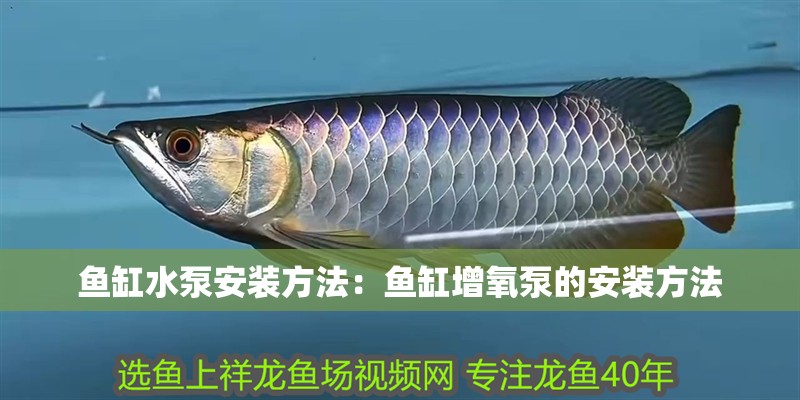 魚缸水泵安裝方法：魚缸增氧泵的安裝方法 魚缸水泵安裝方法：魚缸增氧泵的安裝方法 魚缸百科