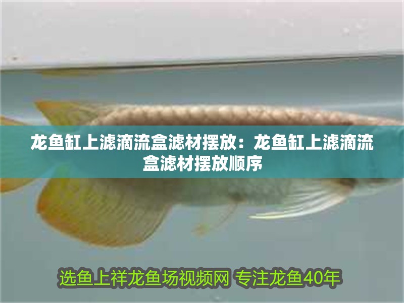 龍魚缸上濾滴流盒濾材擺放：龍魚缸上濾滴流盒濾材擺放順序