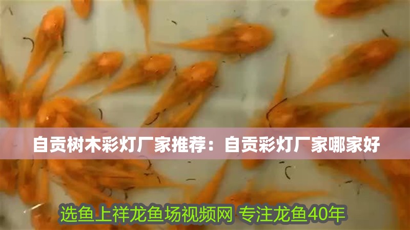 自貢樹(shù)木彩燈廠家推薦：自貢彩燈廠家哪家好