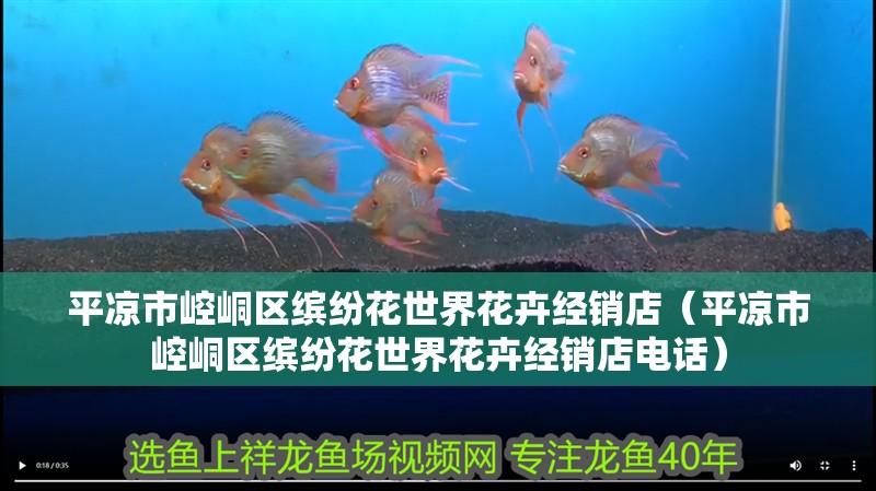 平涼市<strong><mark>崆峒</mark></strong>區繽紛花世界花卉經銷店（平涼市<strong><mark>崆峒</mark></strong>區繽紛花世界花卉經銷店電話）