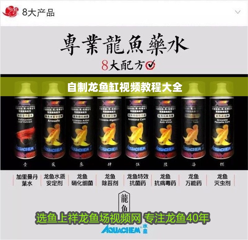 自制龍魚缸視頻教程大全