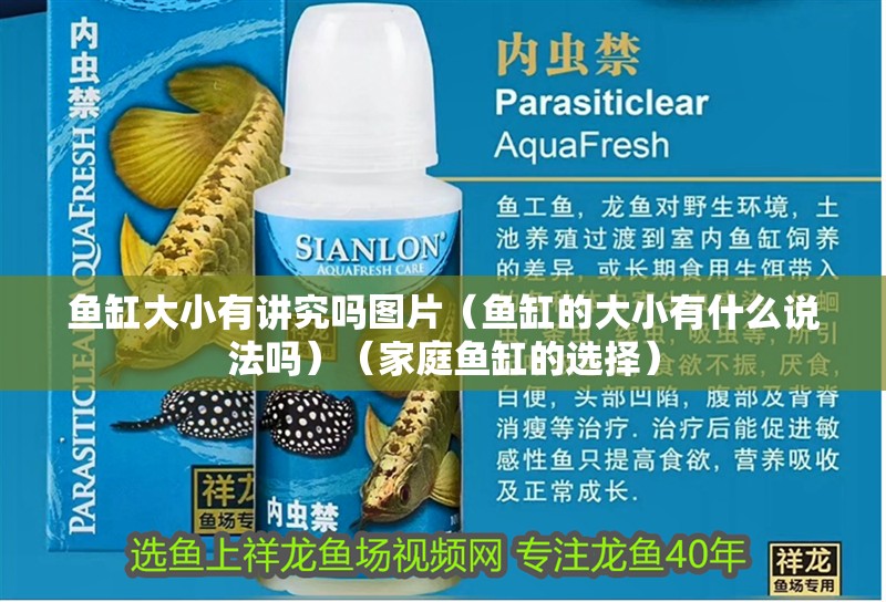 魚缸過濾器選購指南:自制魚缸過濾器魚缸上置過濾器對于養魚愛好者的必備知識 魚缸大小有講究嗎圖片(魚缸的大小有什么說法嗎)(家庭魚缸的選擇) 魚缸百科 魚缸大小有講究嗎圖片(魚缸的大小有什么說法嗎)(家庭魚缸的選擇) 魚缸大小有講究嗎圖片(魚缸的大小有什么說法嗎)(家庭魚缸的選擇) 魚缸百科