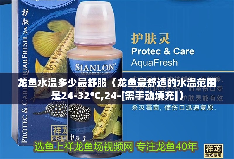 龍魚水溫多少最舒服（龍魚最舒適的水溫范圍是24-32℃,24-[需手動填充]）
