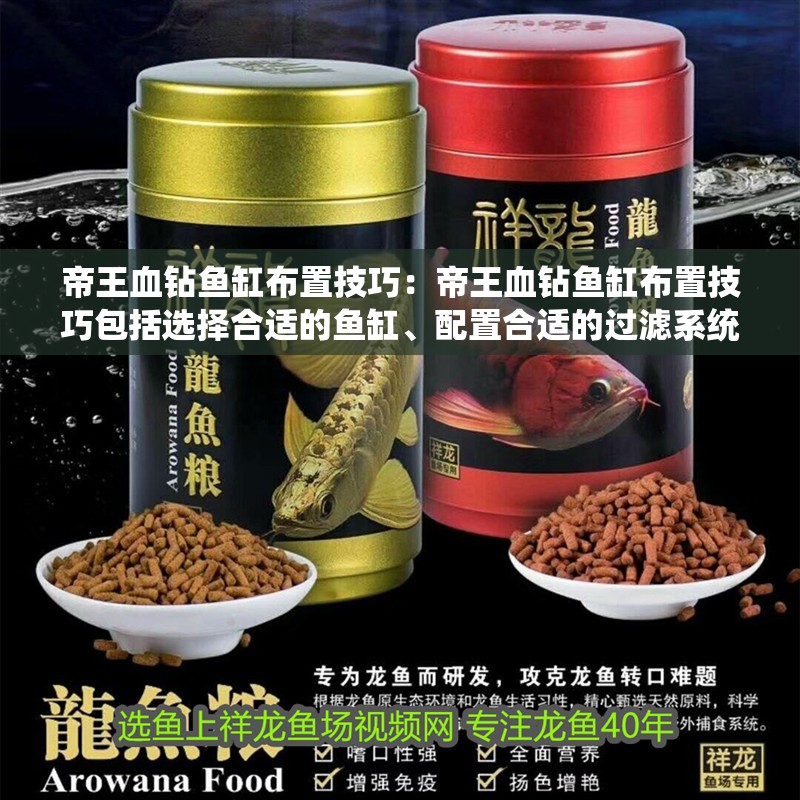 帝王血鉆魚缸布置技巧：帝王血鉆魚缸布置技巧包括選擇合適的魚缸、配置合適的過濾系統、添加裝飾和植物