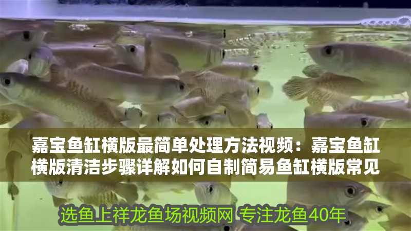 嘉寶魚缸橫版最簡單處理方法視頻：嘉寶魚缸橫版清潔步驟詳解如何自制簡易魚缸橫版常見問題解決方案