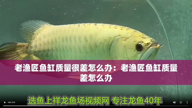 老漁匠魚缸質量很差怎么辦：老漁匠魚缸質量差怎么辦 老漁匠魚缸質量很差怎么辦：老漁匠魚缸質量差怎么辦 魚缸百科