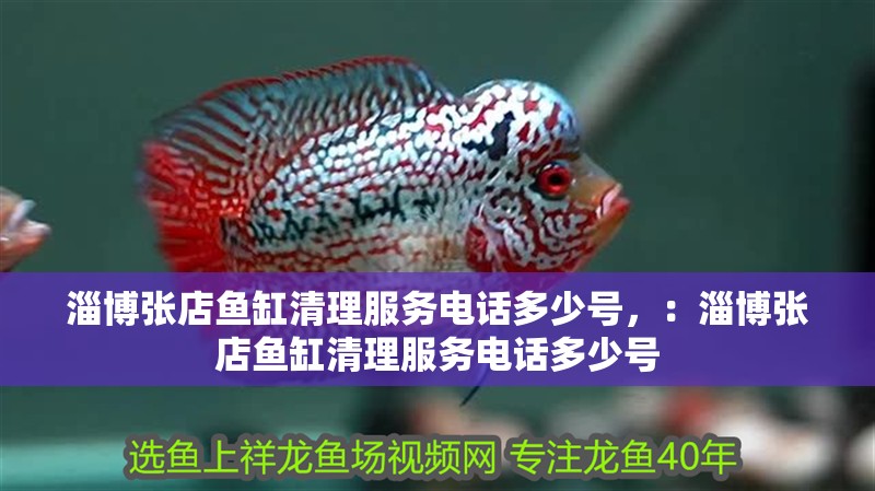 淄博張店魚缸清理服務(wù)電話多少號(hào)，：淄博張店魚缸清理服務(wù)電話多少號(hào)