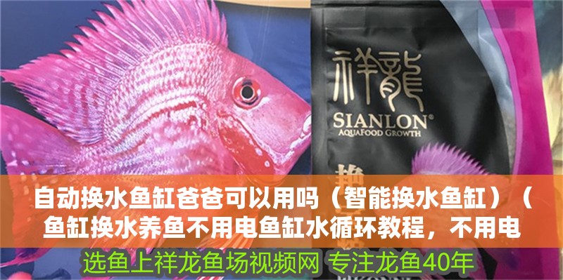自動換水魚缸爸爸可以用嗎（智能換水魚缸）（魚缸換水養魚不用電魚缸水循環教程，不用電魚缸循環教程）
