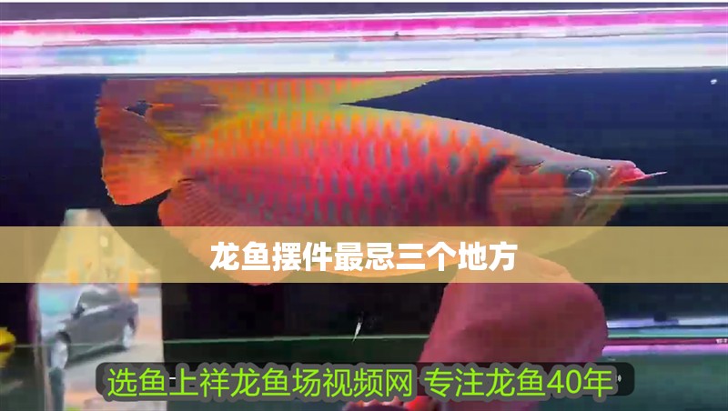 龍魚擺件最忌三個地方
