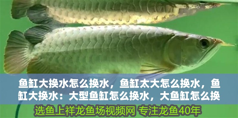 魚缸過濾器選購指南:自制魚缸過濾器魚缸上置過濾器對于養魚愛好者的必備知識 魚缸大換水怎么換水,魚缸太大怎么換水,魚缸大換水:大型魚缸怎么換水,大魚缸怎么換水 魚缸百科 魚缸大換水怎么換水,魚缸太大怎么換水,魚缸大換水:大型魚缸怎么換水,大魚缸怎么換水 魚缸大換水怎么換水,魚缸太大怎么換水,魚缸大換水:大型魚缸怎么換水,大魚缸怎么換水 魚缸百科