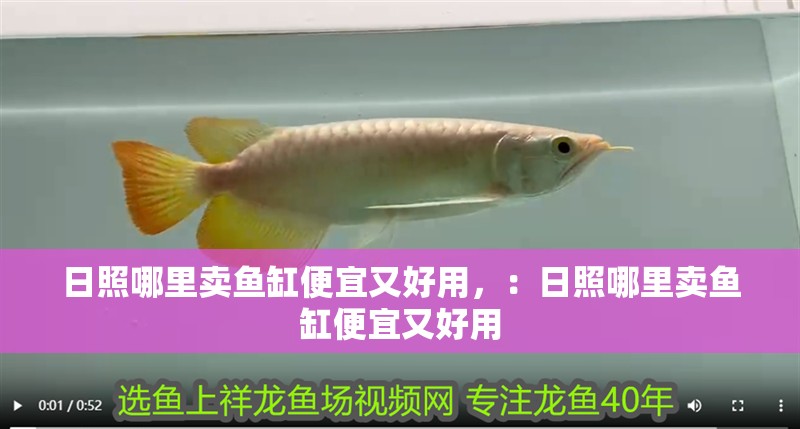 日照哪里賣魚缸便宜又好用，：日照哪里賣魚缸便宜又好用 日照哪里賣魚缸便宜又好用，：日照哪里賣魚缸便宜又好用 魚缸百科