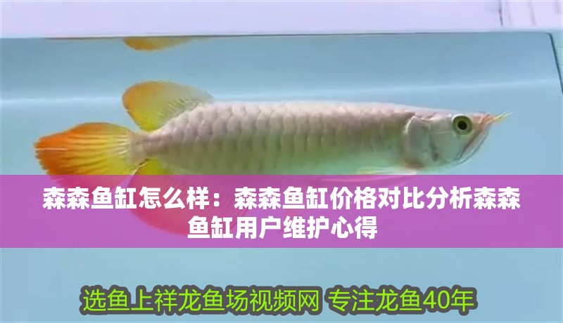 森森魚缸怎么樣：森森魚缸價格對比分析森森魚缸用戶維護心得