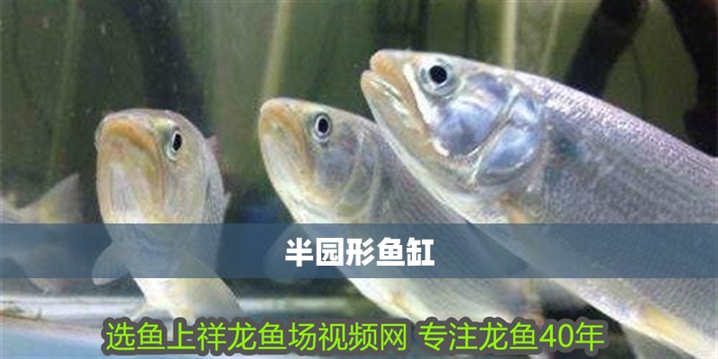 半園形魚缸