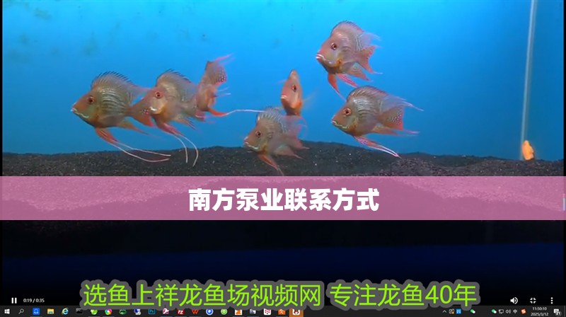 南方泵業聯系方式 南方泵業聯系方式 龍魚論壇