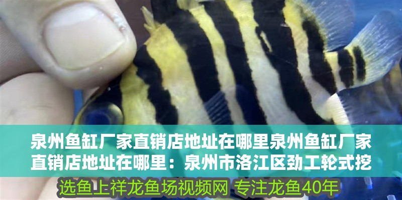 <strong><mark>泉州</mark></strong>魚缸廠家直銷店地址在哪里<strong><mark>泉州</mark></strong>魚缸廠家直銷店地址在哪里：<strong><mark>泉州</mark></strong>市洛江區勁工輪式挖掘機廠家直銷店地址在哪里