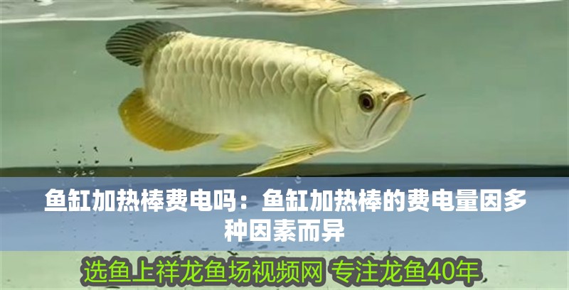 魚缸加熱棒費電嗎：魚缸加熱棒的費電量因多種因素而異