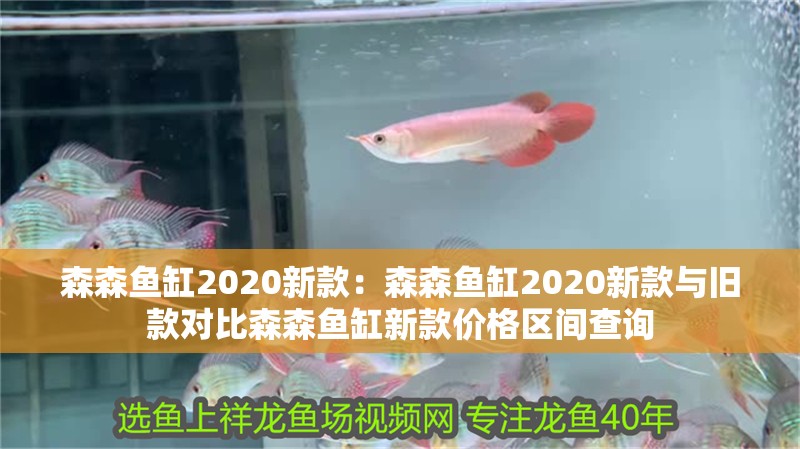 森森魚缸2020新款：森森魚缸2020新款與舊款對(duì)比森森魚缸新款價(jià)格區(qū)間查詢