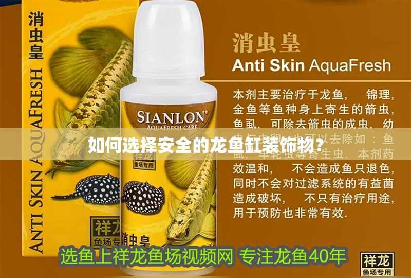 如何選擇安全的龍魚缸裝飾物？