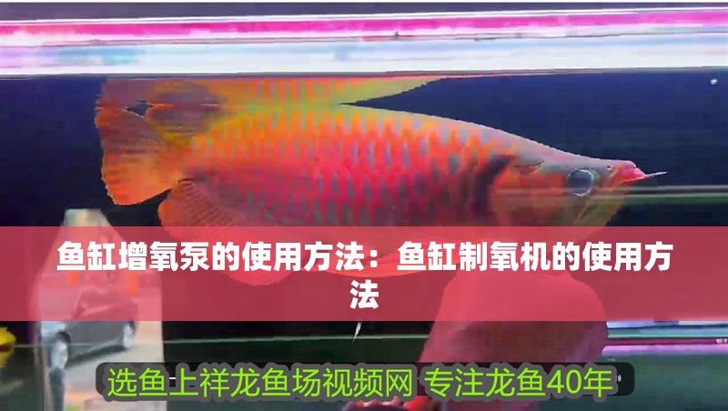 魚缸增氧泵的使用方法：魚缸制氧機的使用方法 魚缸增氧泵的使用方法：魚缸制氧機的使用方法 魚缸百科