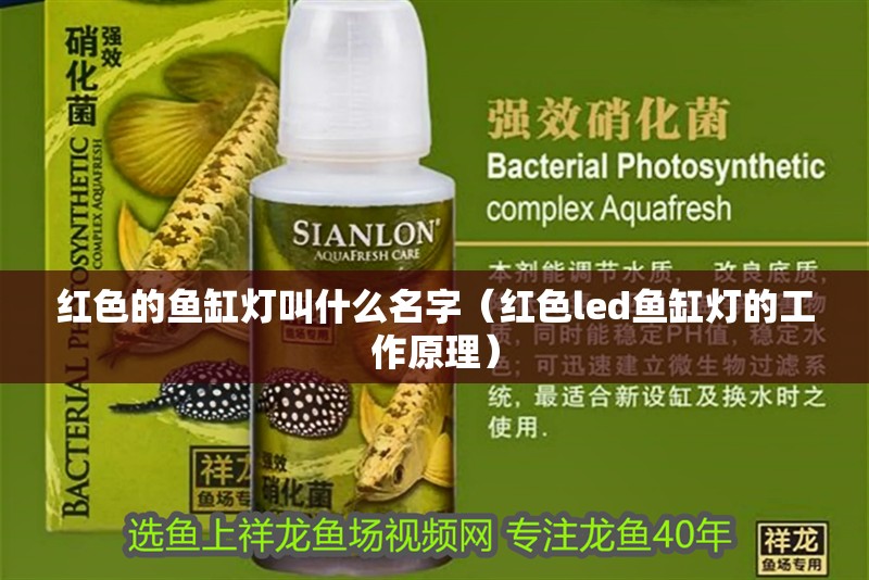 紅色的魚(yú)缸燈叫什么名字（紅色led魚(yú)缸燈的工作原理）