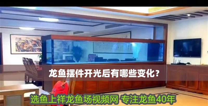 龍魚擺件開光后有哪些變化？