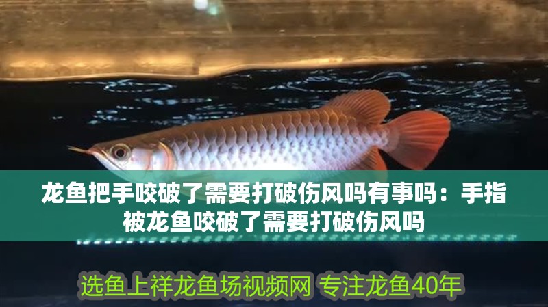 龍魚把手咬破了需要打破傷風(fēng)嗎有事嗎：手指被龍魚咬破了需要打破傷風(fēng)嗎
