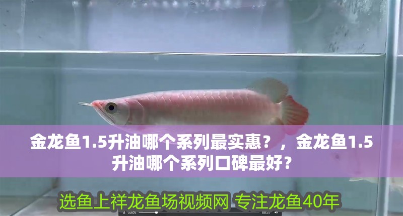 金龍魚1.5升油哪個系列最實惠？，金龍魚1.5升油哪個系列口碑最好？