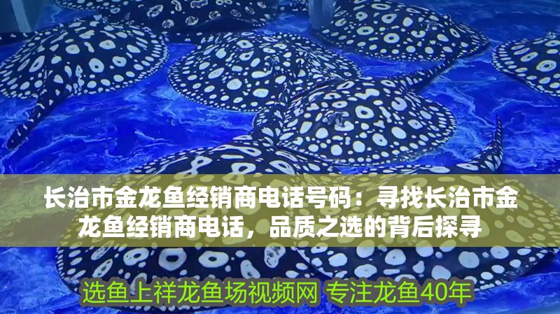 長治市金龍魚經銷商電話號碼：尋找長治市金龍魚經銷商電話，品質之選的背后探尋