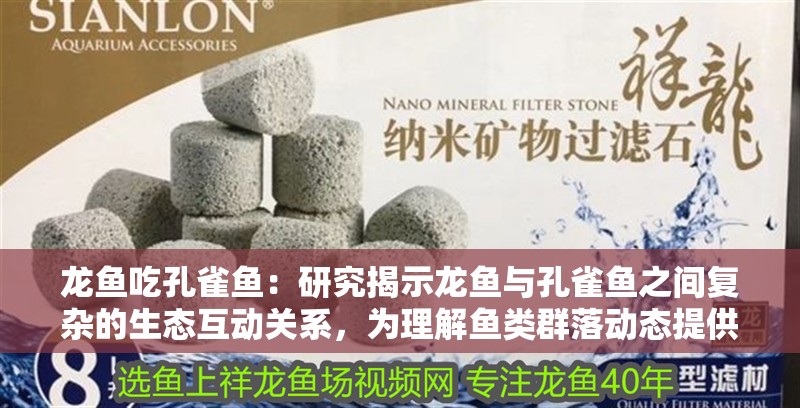 龍魚吃孔雀魚：研究揭示龍魚與孔雀魚之間復雜的生態互動關系，為理解魚類群落動態提供新見解