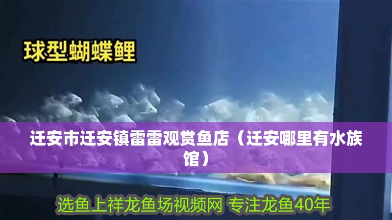 遷安市遷安鎮雷雷觀賞魚店（遷安哪里有水族館）