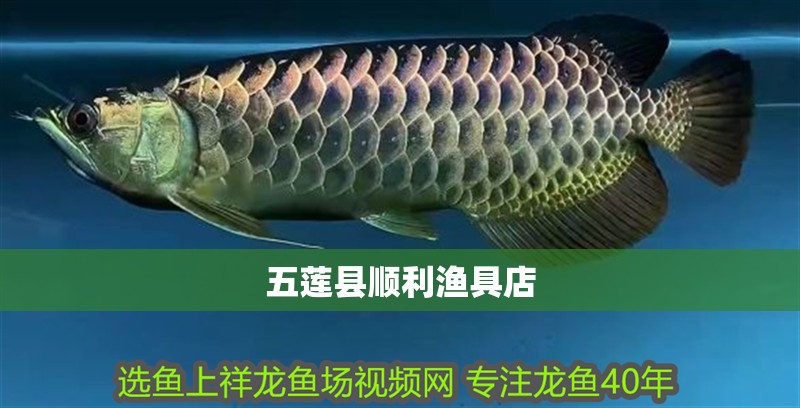 五蓮縣順利漁具店