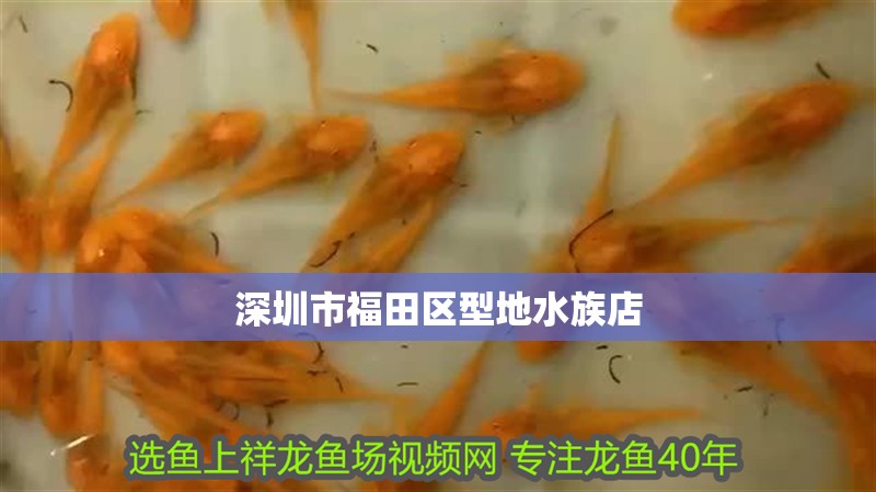 深圳市福田區型地水族店 深圳市福田區型地水族店 全國水族館企業名錄