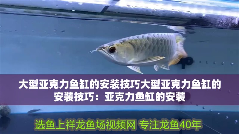 大型亞克力魚缸的安裝技巧大型亞克力魚缸的安裝技巧：亞克力魚缸的安裝 大型亞克力魚缸的安裝技巧大型亞克力魚缸的安裝技巧：亞克力魚缸的安裝 魚缸百科