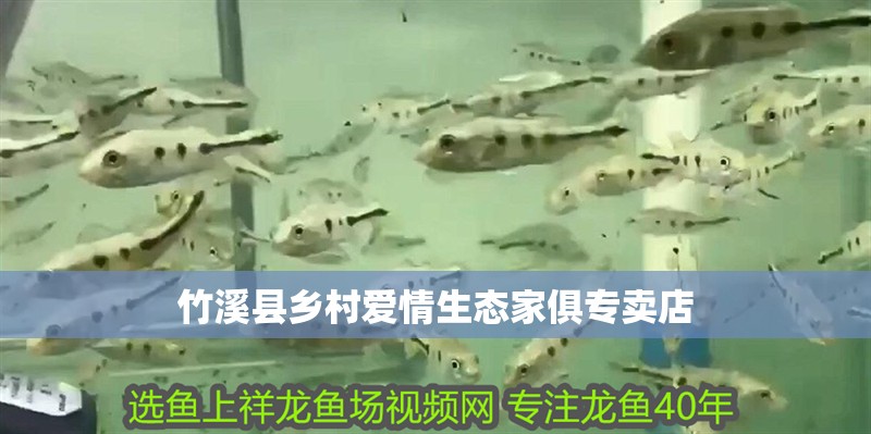 竹溪縣鄉(xiāng)村愛(ài)情生態(tài)家俱專(zhuān)賣(mài)店